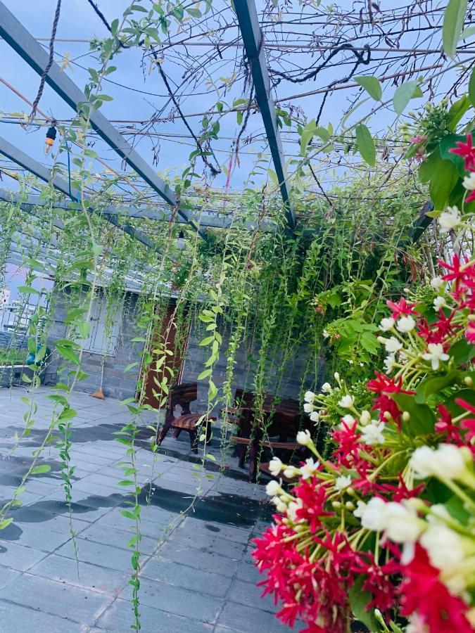 Animor Green Home Villa Da Nang Dış mekan fotoğraf